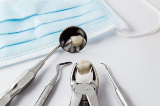 extracted-tooth Root canal specialist tools and instruments
